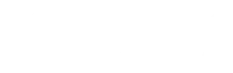 boras v001 invert 768x242